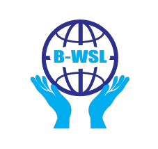 BWORLD SYNERGY LTD Logo